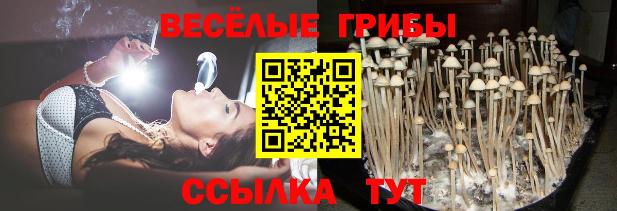 Псилоцибиновые грибы Psilocybine cubensis  Вход с VPN  Нягань  Псилоцибиновые грибы прущие грибы 